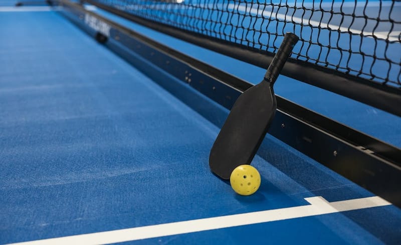 Pickleball court overhead view showing court dimensions and net